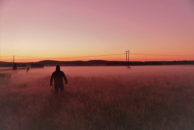 Rear view of man standing on field against sky during sunset