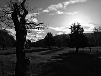 Bare trees on landscape against sky