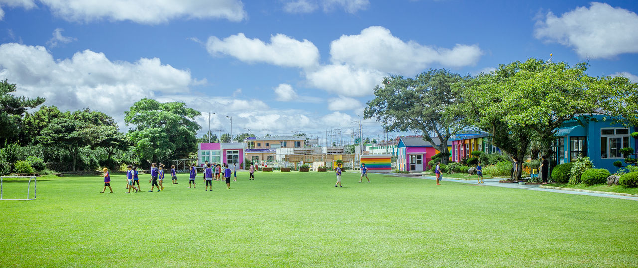 grass, tree, sky, green color, building exterior, architecture, built structure, cloud - sky, cloud, lawn, large group of people, men, field, day, growth, green, park - man made space, outdoors, nature