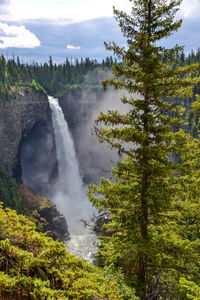 Scenic view of waterfall