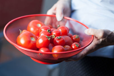 Midsection of man holding fruits in bowl