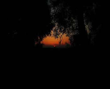 Silhouette trees on landscape against sunset sky