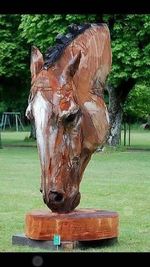 Close-up of horse statue in park