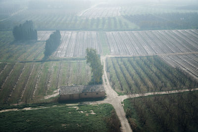 High angle view of agricultural field