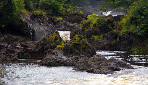 Scenic view of waterfall