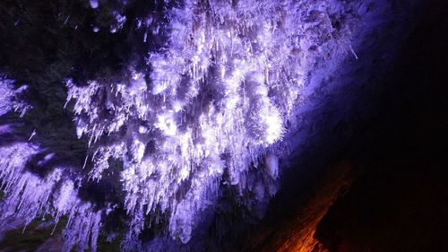 Low angle view of illuminated trees against sky at night