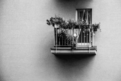 Potted plant on table against wall in building