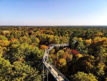 High angle view of canopy walk, plants and trees against clear sky