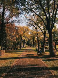 Trees in park during autumn