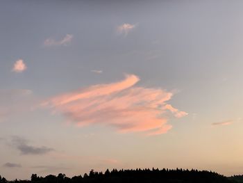 Low angle view of silhouette trees against sky during sunset