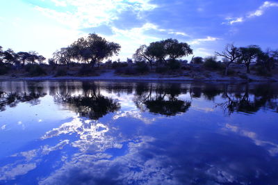 Reflection of trees in lake