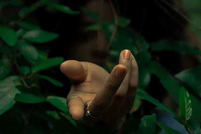 Close-up of human hand emitting through leaves