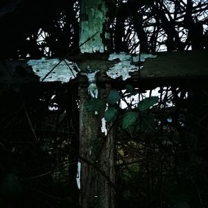 Abandoned built structure in lake