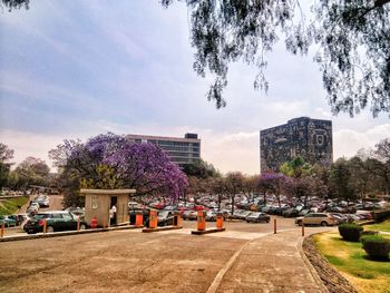 Cars on road by buildings in city against sky