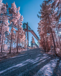 Road amidst trees in forest against sky