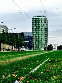 Houses on grassy field