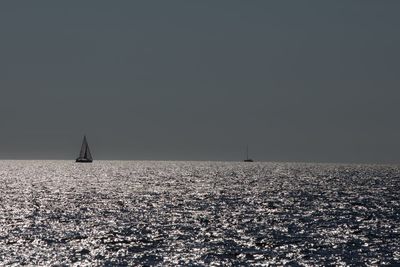 Sailboat sailing on sea against clear sky