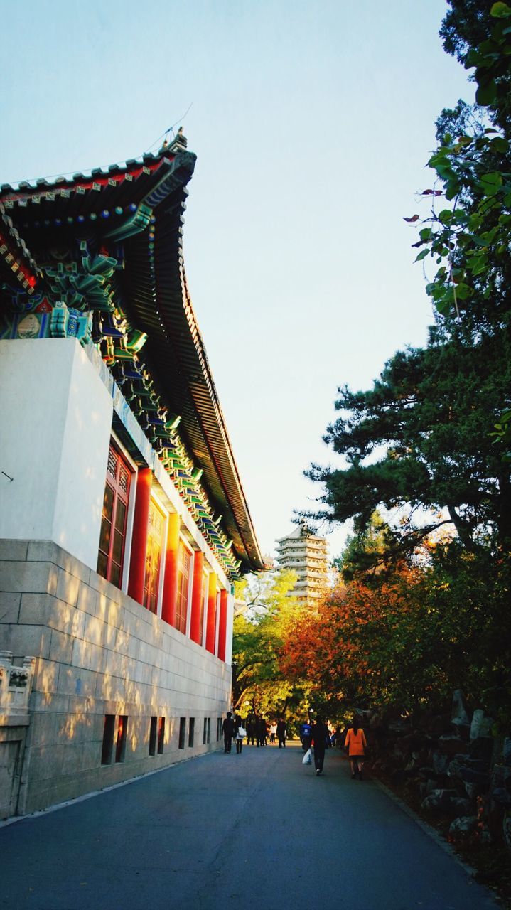 architecture, built structure, building exterior, clear sky, tree, house, residential building, residential structure, roof, building, outdoors, low angle view, the way forward, day, street, sunlight, growth, city, sky, no people