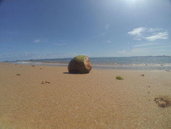 Surface level of sandy beach against sky