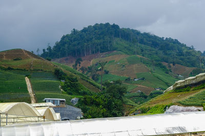 Scenic view of trees and buildings against sky