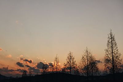 Silhouette of trees at sunset