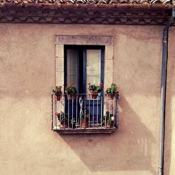 Window of house