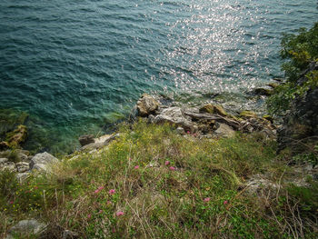 Full frame shot of sea shore