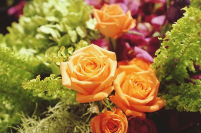 Close-up of rose bouquet