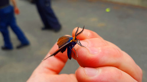 Close-up of cropped hand holding camera