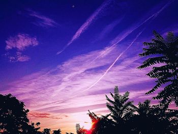 Low angle view of silhouette trees against blue sky