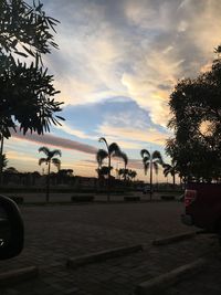 Silhouette palm trees against sky during sunset