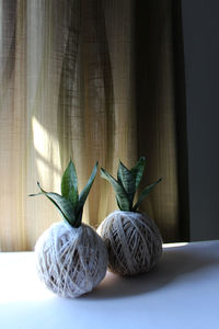 Close-up of vegetables on table at home