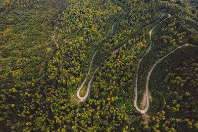 Aerial view of landscape