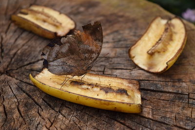 Close-up of bananas