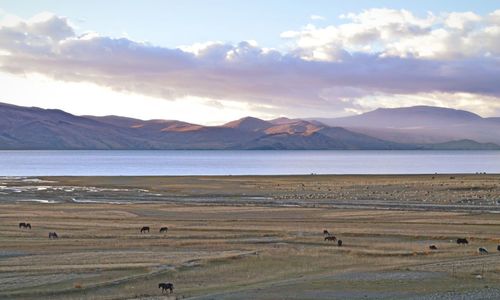 Scenic view of lake and mountains against sky