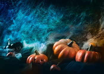 High angle view of pumpkins on rocks