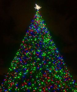 Low angle view of illuminated christmas tree