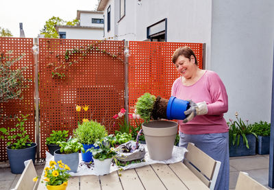 Senior happy caucasian woman wearing gloves transplanting lavender seedling at home terrace  garden 