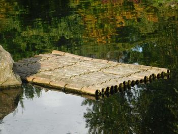 Reflection of trees on water