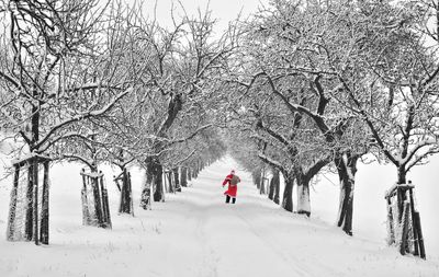 Rear view of person on snow covered land