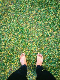 Low section of person standing on ground