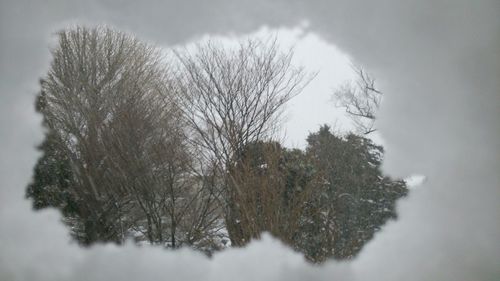 Bare trees on snow covered landscape against cloudy sky