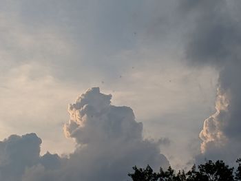 Low angle view of silhouette trees against sky