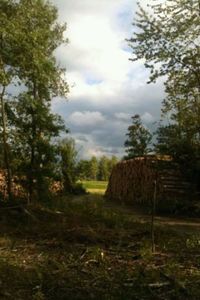 View of field against sky