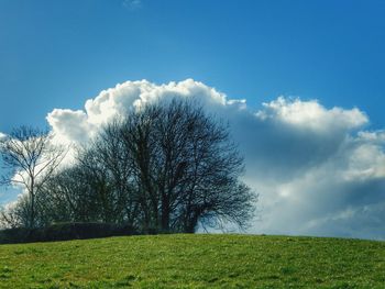 Scenic view of grassy field against cloudy sky