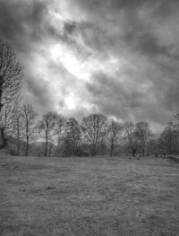 Bare trees on field against sky