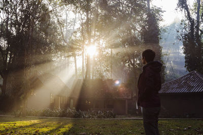 Side view of woman looking at sunbeams while standing on land