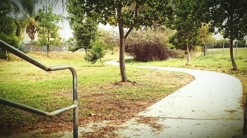 Empty park bench in park