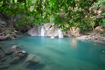 Scenic view of waterfall in forest