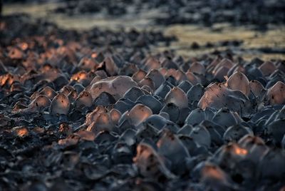 Full frame shot of rocks